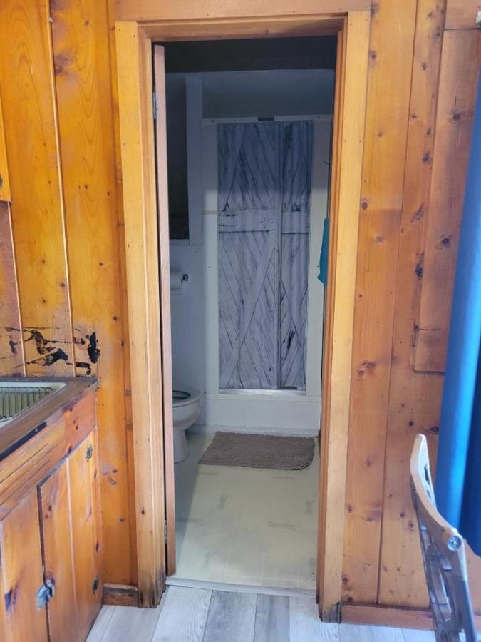 Cabin 2 Manistique Ngoại thất bức ảnh