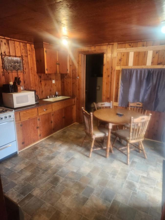 Cabin 2 Manistique Ngoại thất bức ảnh