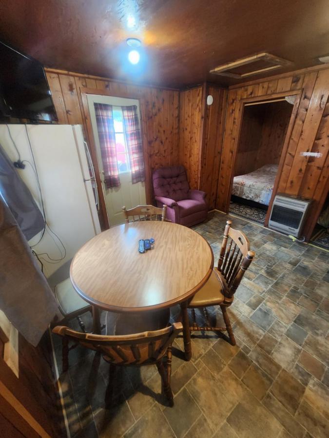 Cabin 2 Manistique Ngoại thất bức ảnh